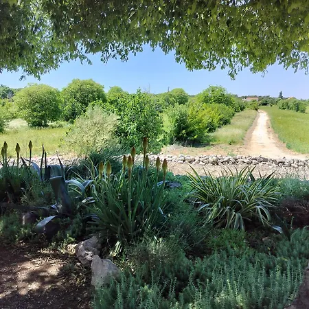 Prominska Bajka * Razvode