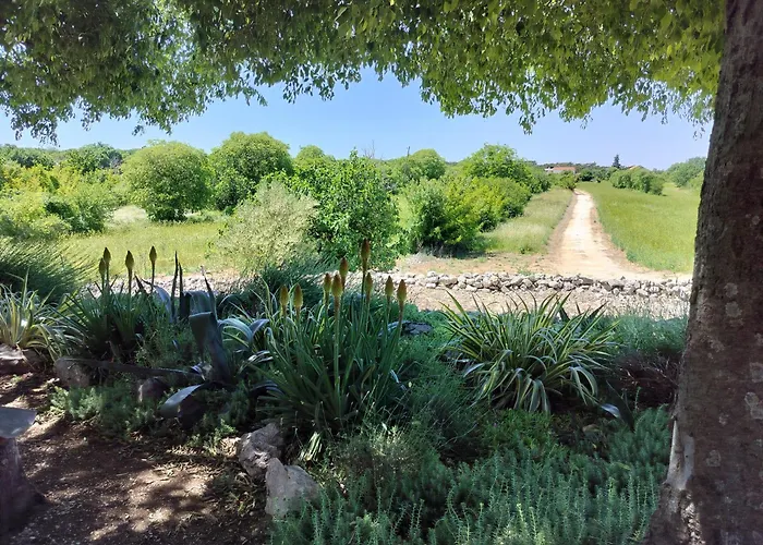 Prominska Bajka * Razvode